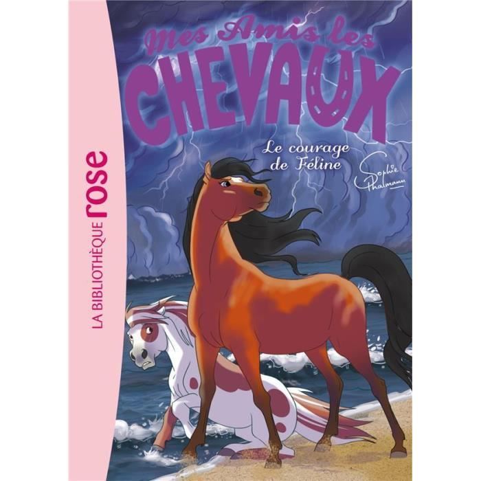 Livre les plus beaux chevaux du monde