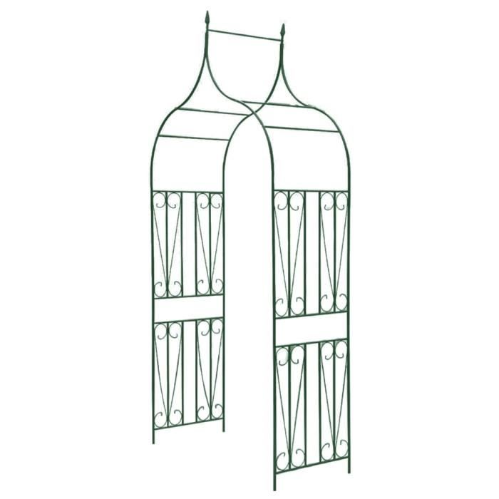 vidaXL Arche de jardin Lot de 2