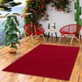 Kingston - tapis type gazon artificiel – pour jardin, terrasse, balcon - rouge - 200x300 cm-1