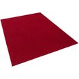 Kingston - tapis type gazon artificiel – pour jardin, terrasse, balcon - rouge - 200x300 cm-2