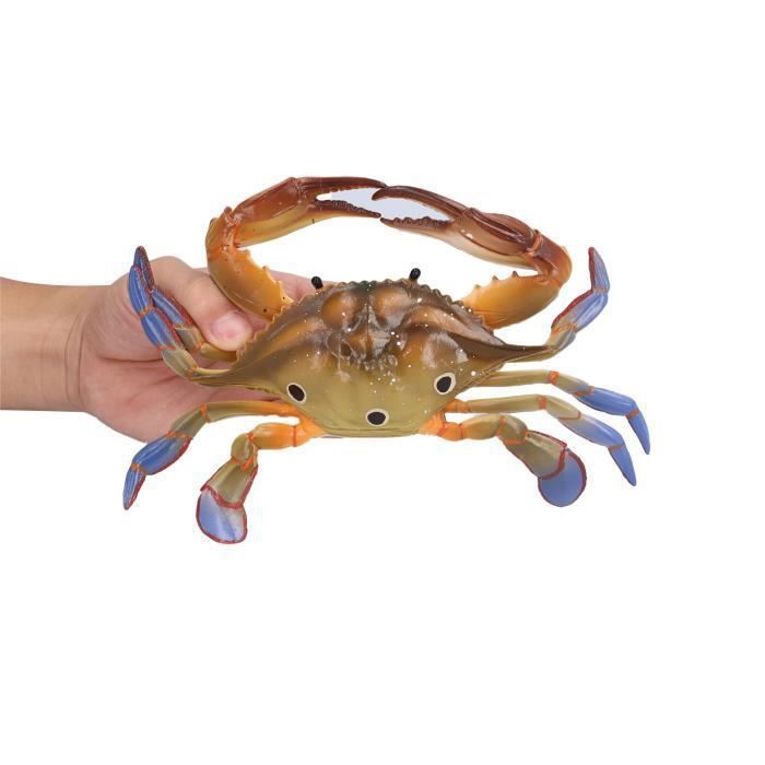 Figurine Réaliste De Crabe Rouge – Modèle Animal Marin En Plastique – Jouet éducatif Pour Enfants