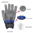 Gant protection anti-coupure pour boucher - En inox - Taille L - Gris-3