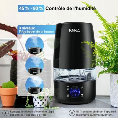 Humidificateur D'Air Floral USB 260ML - Brume Top-Fill 2 Modes Avec Lumière Colorée