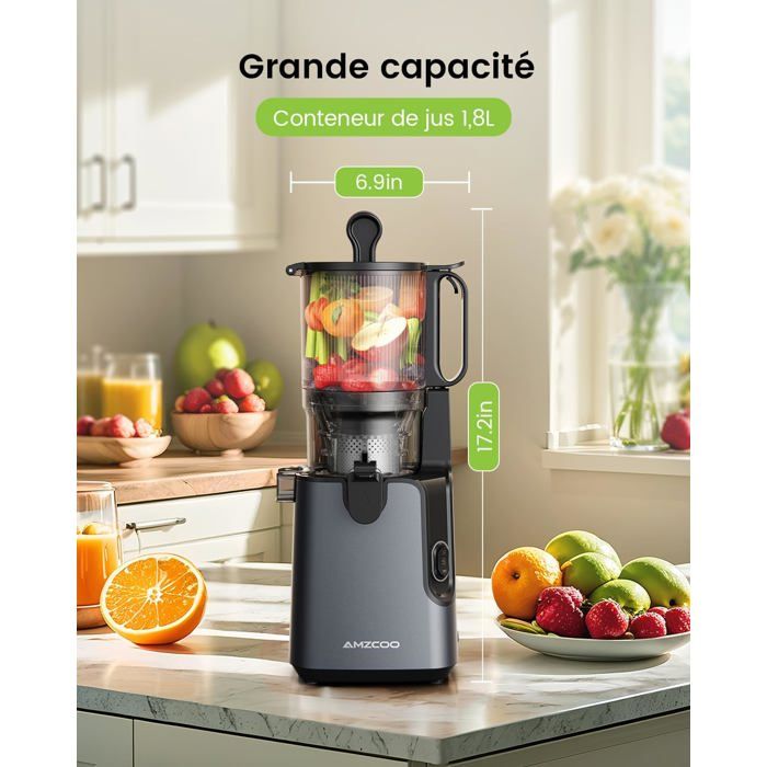 Extracteur de Jus Amzcoo 130 mm Presse à Froid pour Fruits et Légumes — free download