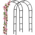Arche de jardin DEUBA - 240x140x37cm - Support pour plantes grimpantes - Décoration extérieure-0