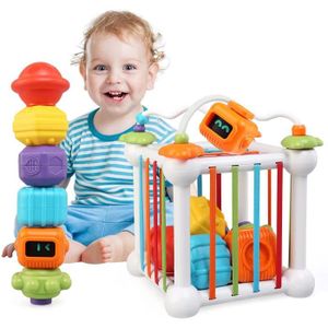 BOÎTE À FORME - GIGOGNE Jouets Montessori, Jouet Cube d'activité pour Bébé