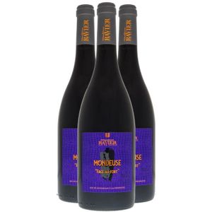 VIN ROUGE Vin de Savoie Mondeuse Face au Fort Rouge 2020 - Lot de 3x75cl - Philippe et Sylvain Ravier - Vin AOC Rouge de Savoie - Bugey