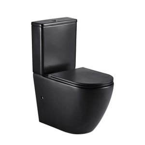 WC - TOILETTES Toilette WC à poser GENOVA en céramique noir mat 