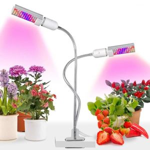 110V 38LED E27 LED Grow Light Lampe de Croissance de Plantes pour Le Jardin dIntérieur Les Fleurs et Les Légumes. la Culture Hydroponique Ampoule Lampe de Croissance la Serre 