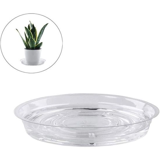 Jfbucf Lot De 10 Soucoupes Transparentes De 20 Cm Pour Pot De