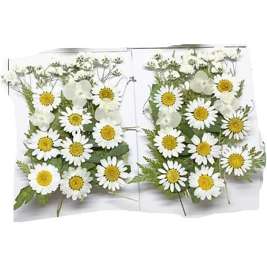 280 Fleurs Séchées Miniatures Pour DIY - Pour Résine, Nail Art, Scrapbooking, Décoration Maison