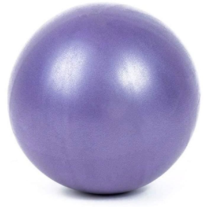 Ballon De Gym PRO Strength 24 Pouces Avec Pompe – Fitness, Pilates, Neuf