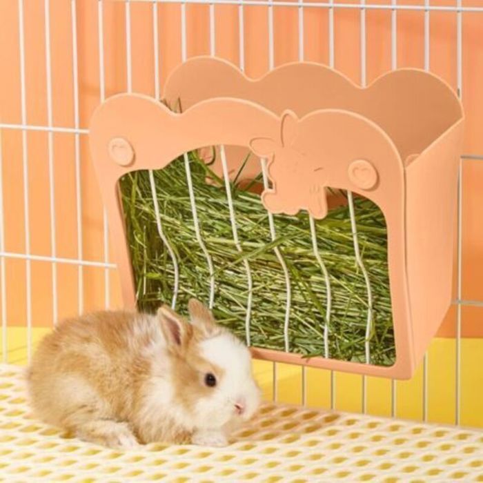 Mangeoire Lapin Suspendue – Râtelier à Foin pour Lapins & Cochons dInde (Rose)