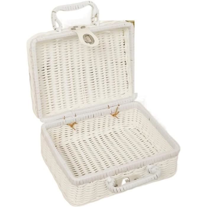 SEWOART Panier Tressé Imitation Rotin Forme Maison Portable et Léger Panier Pique- Vintage pour Récolte Jardin et Rangement Extérieur