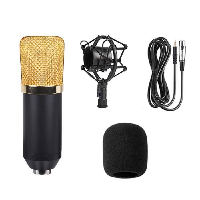 Microphone professionnel à condensateur, pour enregistrement en