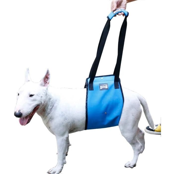 Rantow Harnais de Levage de Chien Sling Assist de Soutien pour Animaux
