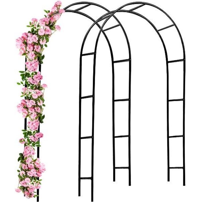 Arche de jardin DEUBA - 240x140x37cm - Support pour plantes grimpantes - Décoration extérieure