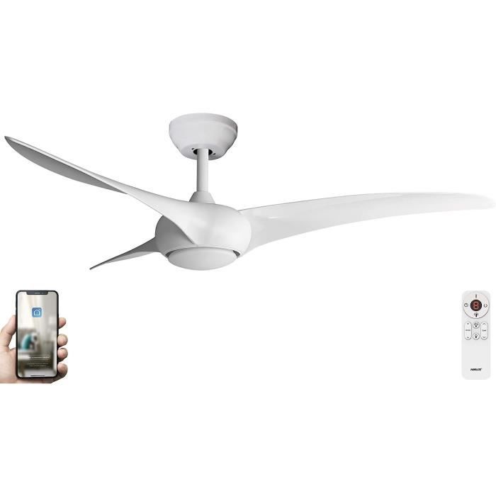 Brasseur d'Air Professionnel Oscillant 55 cm, 120W - Puissant et Robuste pour Grands Espaces Brasseur d'Air Professionnel Oscillant 55 cm, 120W - Puissant et Robuste pour Grands Espaces