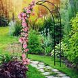 Arche de jardin DEUBA - 240x140x37cm - Support pour plantes grimpantes - Décoration extérieure-3