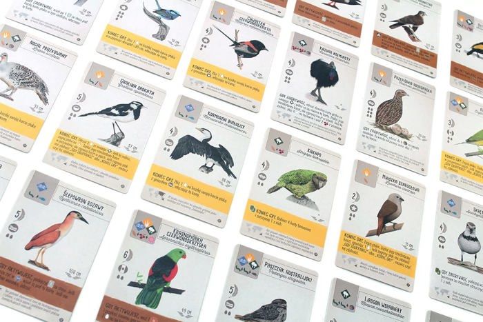 Jeu De Société Serpents Et Échelles | Ensemble De Jeux De Plateau