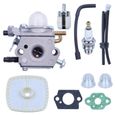 Carburateur Kit de Remplacement pour Echo PB-2155 PB-2100 Souffleur et ES-2100 Broyeur, Carburateur + Joints + Conduites + Filtre-0