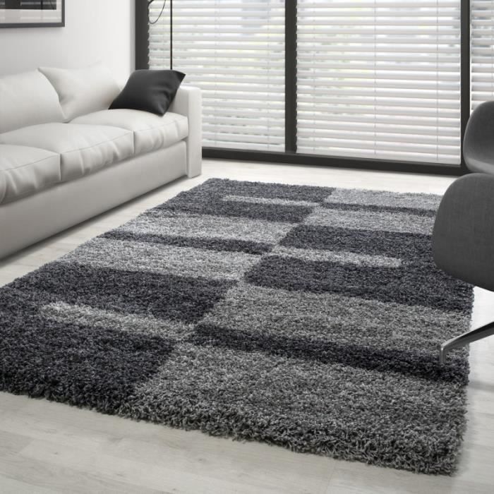 Tapis Gala Shaggy designe pile longue Gris-Gris Clair (160x230 cm)