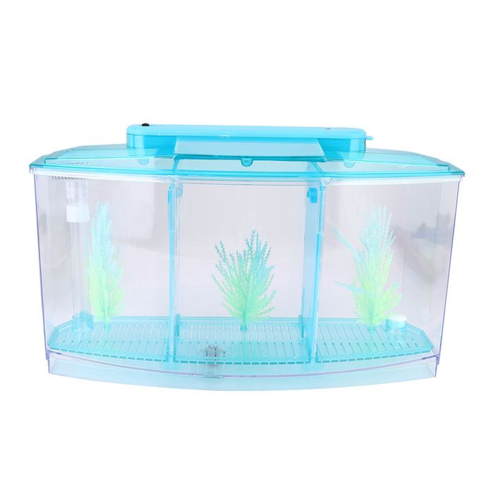 Aquarium à LED en acrylique à trois compartiments pour élevage et isolement de petits poissons (bleu)