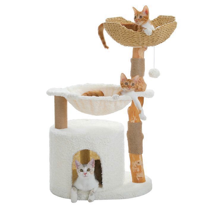 Comparer les prix de PAWZ Road Arbre à Chat Moderne 104 cm avec Poteaux en Poirier Naturel, Panier Tissé XXL, Grand Condo & Hamac 40 cm, Blanc