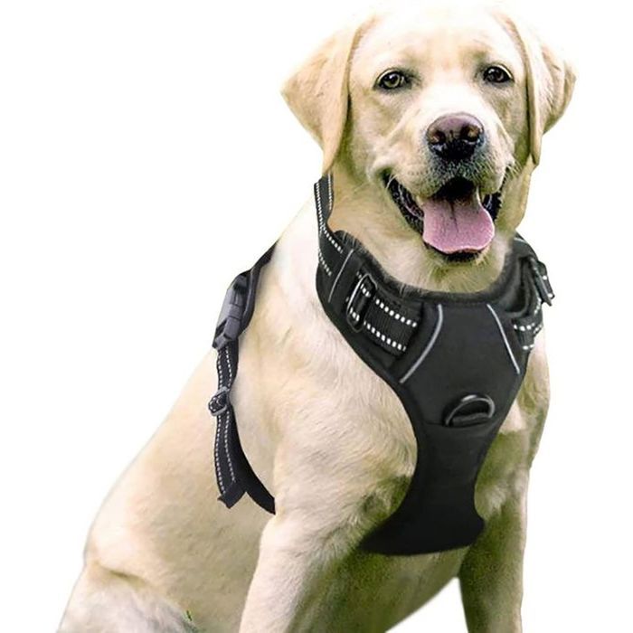 Harnais Chien/Harnais pour Chien anti-traction - Noir taille XL -- Réglable Réfléchissant Matériau Respirant Label
