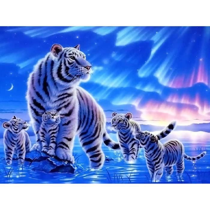 DCIDBEI 40x50CM Paysage Forêt 5D Diamond Painting Kit, DIY Tableau Strass Diamant Complet Carré Square, Peinture Diamant Set Grand Format, Diamond Art Pour Adulte/Enfants/Accueil Décor