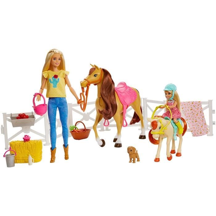 Barbie Famille coffret Amies des Animaux, poupée et mini-poupée Chelsea,  cheval, poney, chiot et accessoires, - Cdiscount Jeux - Jouets