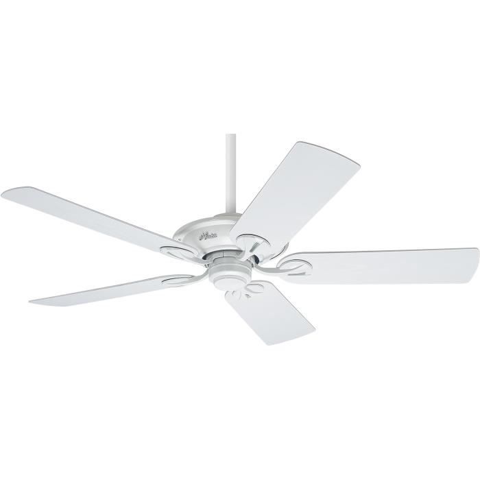 Ventilateur de Plafond Silencieux Blanc Tydir 132cm Moteur DC - Ledkia