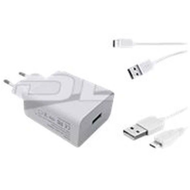 DLH Adaptateur secteur Energy - 20 W - USB - Pour Smartphone, Tablette PC - 120 V AC, 230 V AC Entré