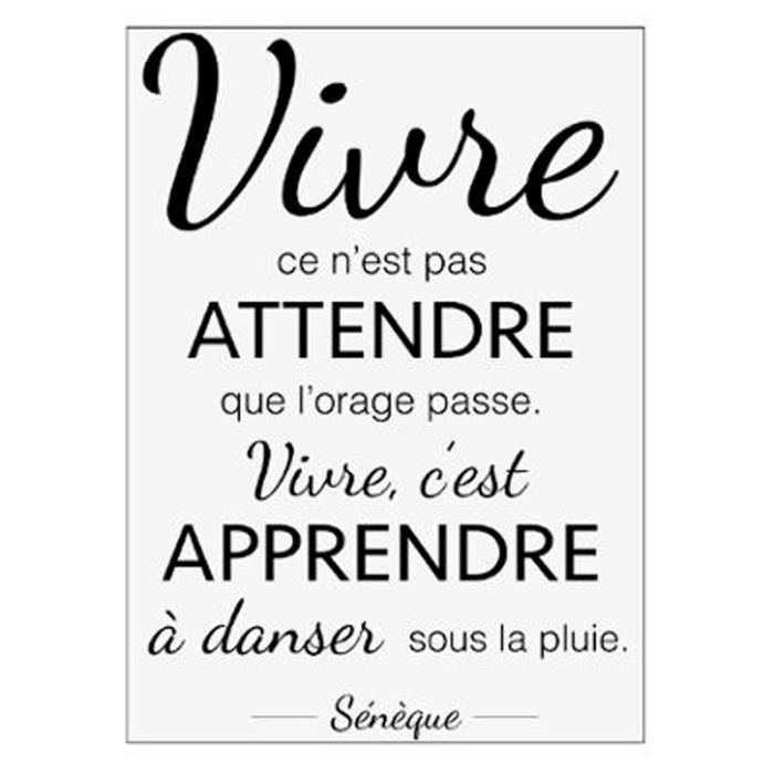 Sticker Mural Citation Seneque 50x70cm Noir Blanc Cdiscount