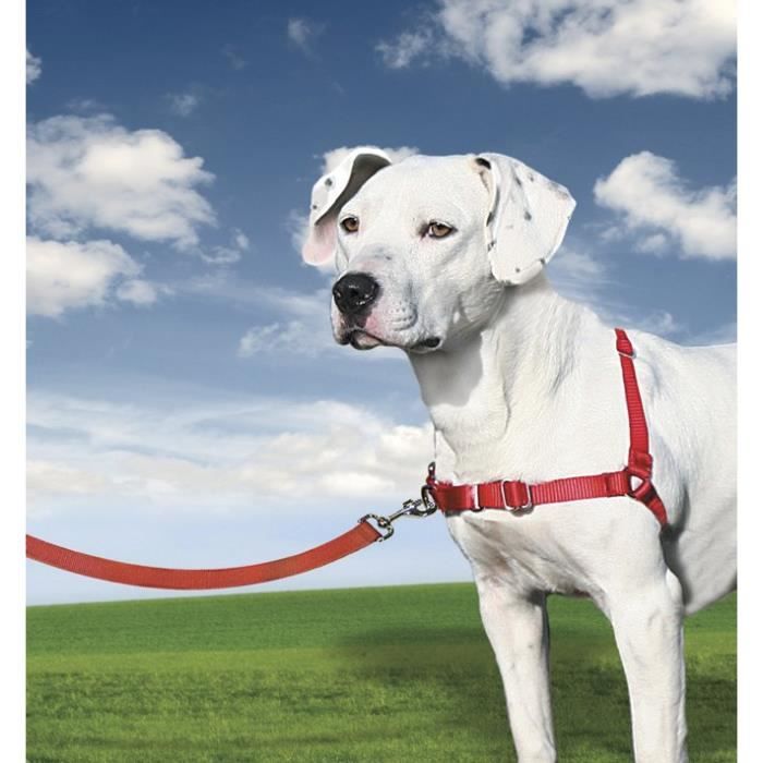 Harnais - PetSafe - Easy Walk - Boucle anti-traction - 4 points de réglage - Rouge - M Harnais - PetSafe - Easy Walk - Boucle anti-traction - 4 points de réglage - Rouge - M