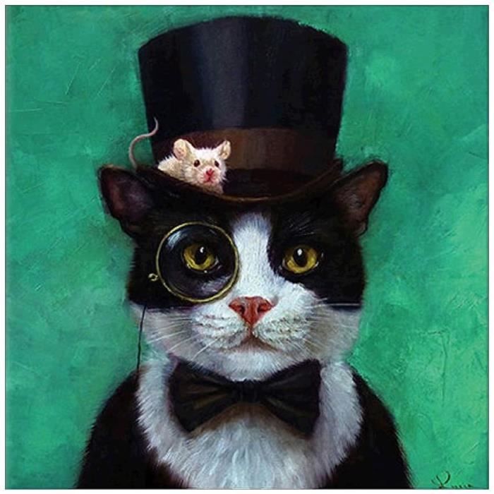 Broderie Diamant Kit Complet Dr Chat Diamond Painting Strass Complet Point De Croix Diamant Complet Artisanal Sur Tissu 30x30cm Cdiscount Beaux Arts Et Loisirs Creatifs