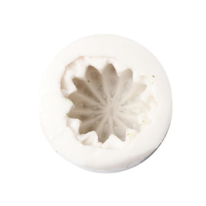Moule à Gâteau Silicone 6 Cavités – Résistant Haute Température – Pour Mousse Au Chocolat, Framboise – Pâtisserie, Desserts Créatifs - 4