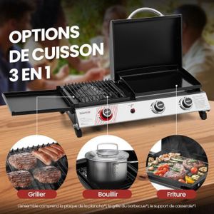 Barbecue Portable Pliable En Acier Inoxydable - Charbon De Bois - BBQ