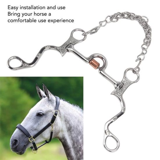 Mors Cheval Acier Inoxydable - Saveur Pomme Enrobé Caoutchouc