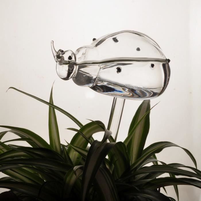 Jardin D Intérieur Pas Cher
