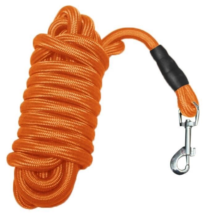 (Orange / M-10m)Laisse pour animaux de compagnie en Nylon pour petits moyens et grands chiens entraînement à la marche en plein