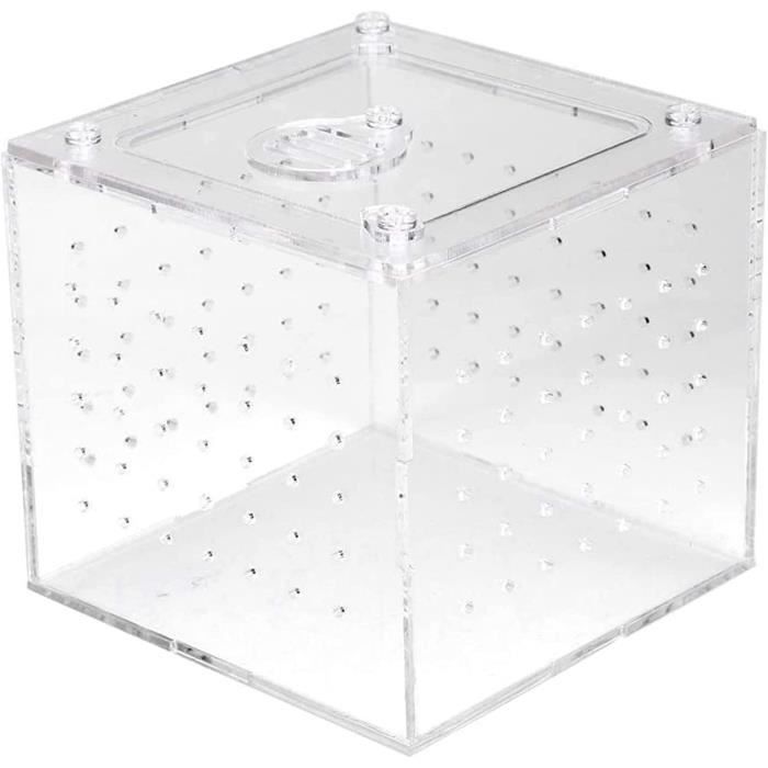 Terrarium En Acrylique Transparent 15x15x15 Cm - Pour Phasmes, Escargots, Petites Araignées, Reptiles Et Insectes - 12