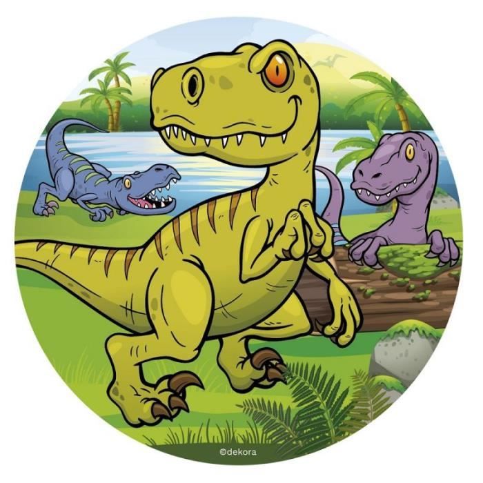 DISQUE COMESTIBLE PÂTE À SUCRE 16CM DINOSAURE BLANC - Cdiscount Maison