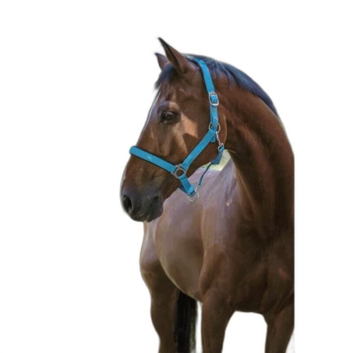 Licol Cuir Cheval Licol Cuir 'Lina' PFIFF - Équitation Poney Réglable Bleu-beige Licol PFIFF Lina