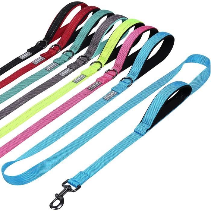 Laisse Double Réfléchissante Pour 2 Chiens - Extensible, Avec Poignée Confort Et Distributeur De SACS, Idéale Promenade Nocturne (Orange)