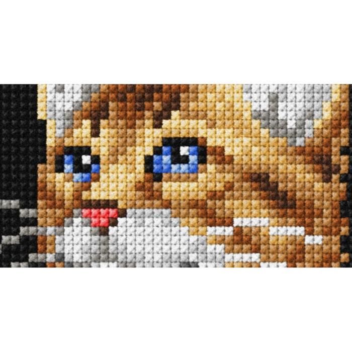 Kit De Broderie Au Point De Croix, Awesocrafts A Cat That Loves Learning Easy Patterns Kit De Broderie Au Point De Croix Pour Noël, Estampillé Ou Compté (chat, Estampillé