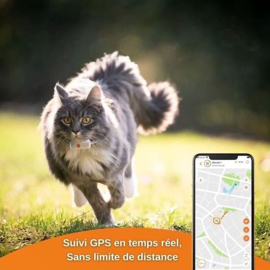 Quel est le Meilleur GPS pour Chat ? Notre Top Avec et Sans Abonnement