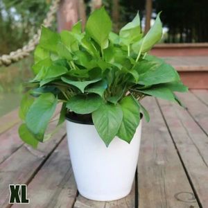 Acheter Pot de plantes à Double couche, plantation robuste et utile, bassin  vert à arrosage automatique, Pot de fleurs de balcon