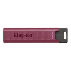 CLÉ USB Kingston DataTraveler MAX 256 Go USB 3.2 USB-A - D