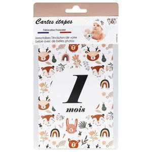 Protege Carnet Sante Enfant My Color Pop France 22 X 16 Cm Cdiscount Puericulture Eveil Bebe Protege Carnet Sante Enfant My Color Pop France 22 X 16 Cm Cdiscount Puericulture Eveil Bebe